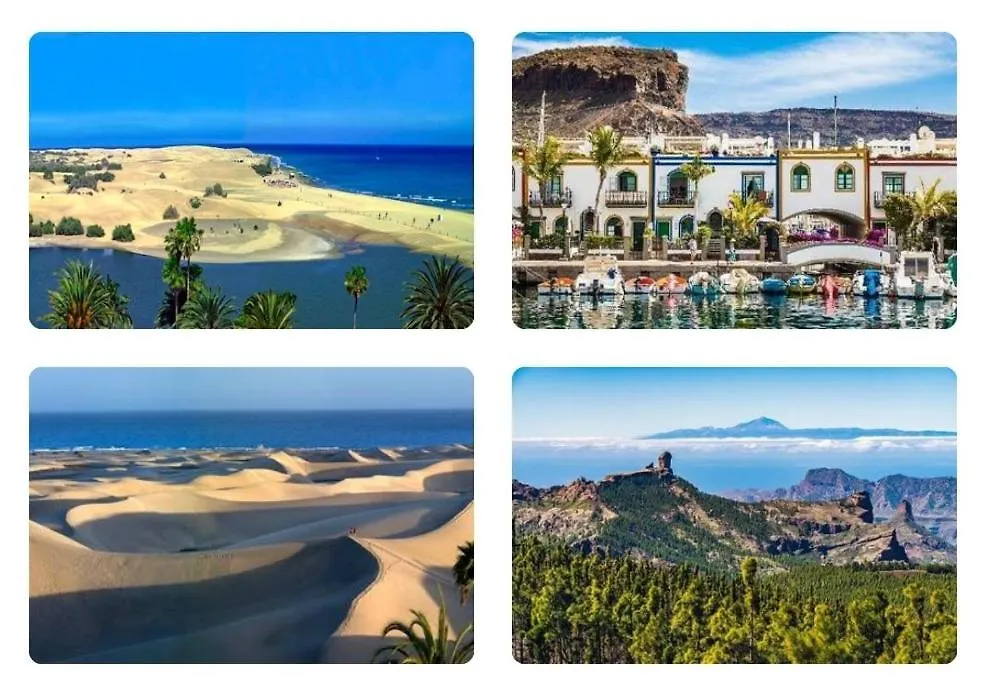 Confort Playa Las Canteras Las Palmas de Gran Canaria Spain